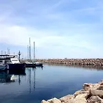 Alex 33