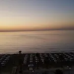 Alex 33 *
