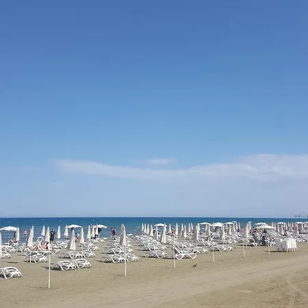 Apartman Alex 33