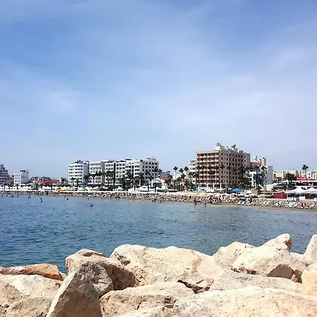 Alex 33