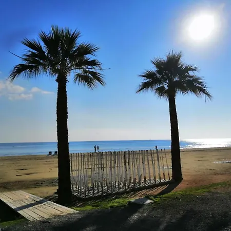 Alex 33 * Larnaca
