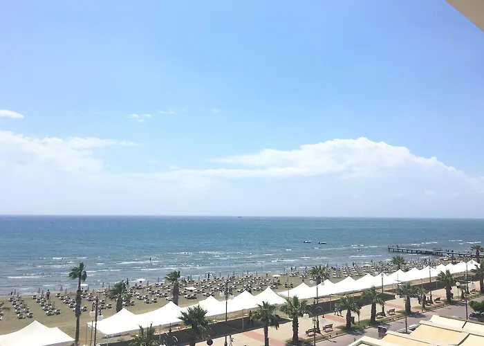 Alex 33 Larnaca